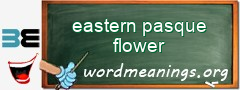 WordMeaning blackboard for eastern pasque flower